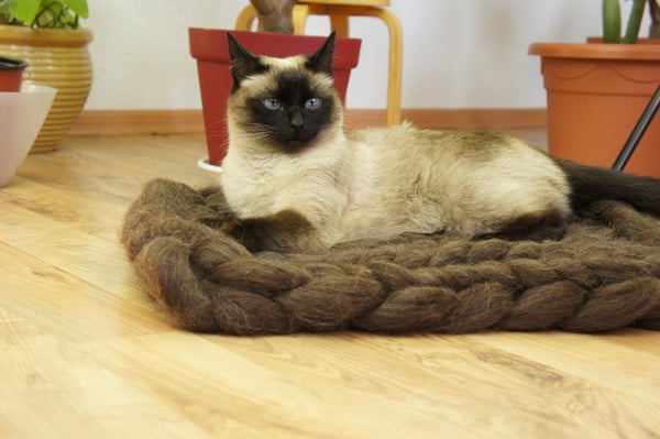 Chunky cat bed wool pet bed dog bed chunky cat dog bed 100 sheep wool knitted pet bed made By Kivikis Color Brown